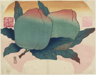 Fruit on Vine, c. 1830